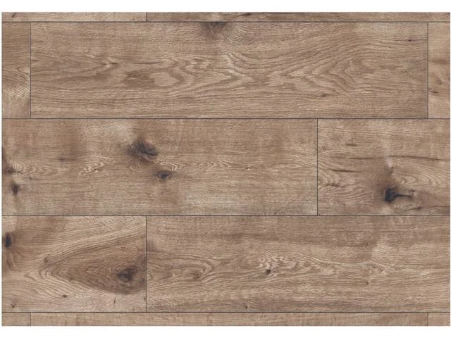 2026_07_17_648029
